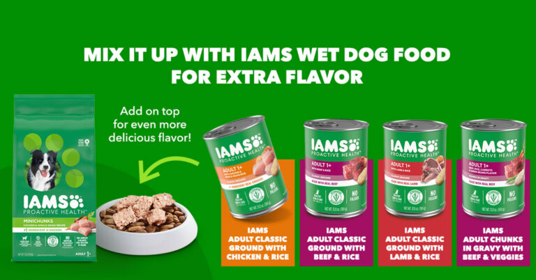 “highly rated dog food: a game-changer for dogs with stomach troubles”