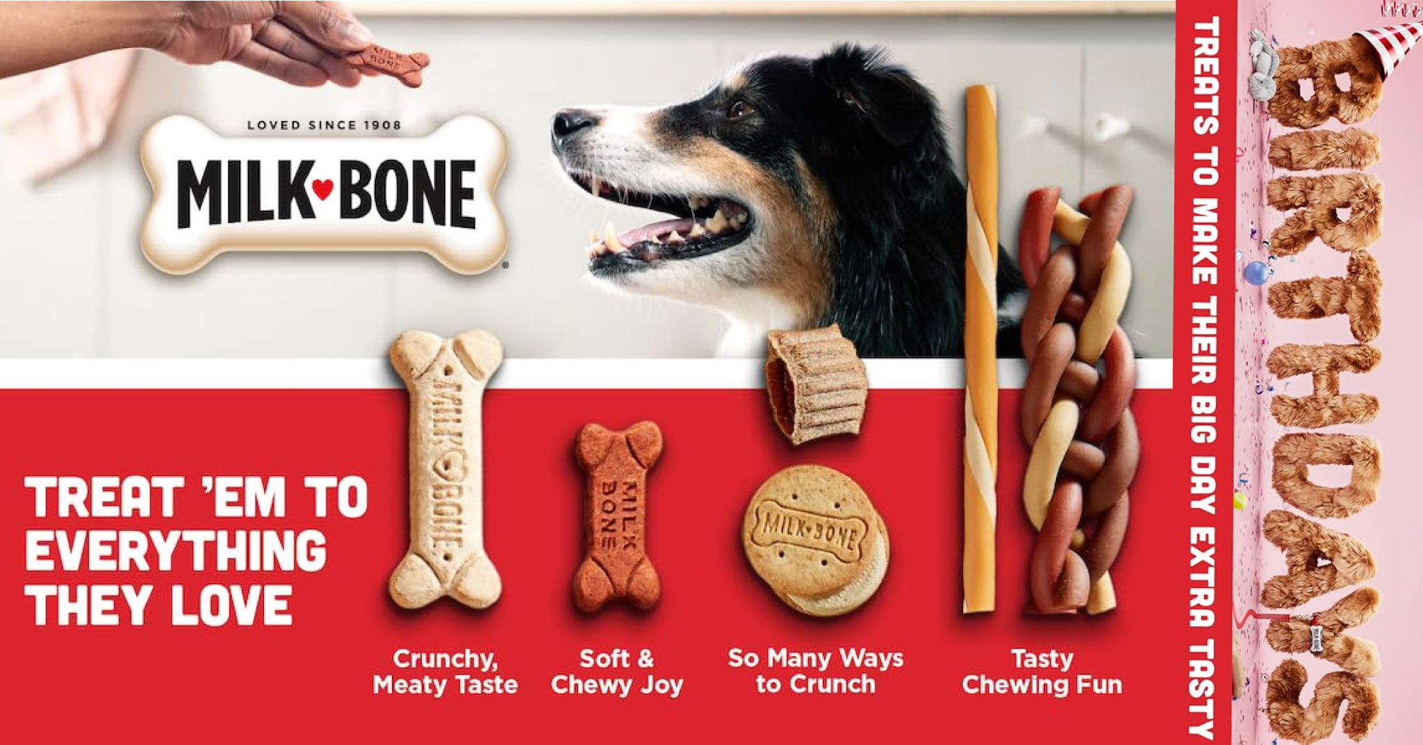 Irresistible and nutritious dog treats for happy canines