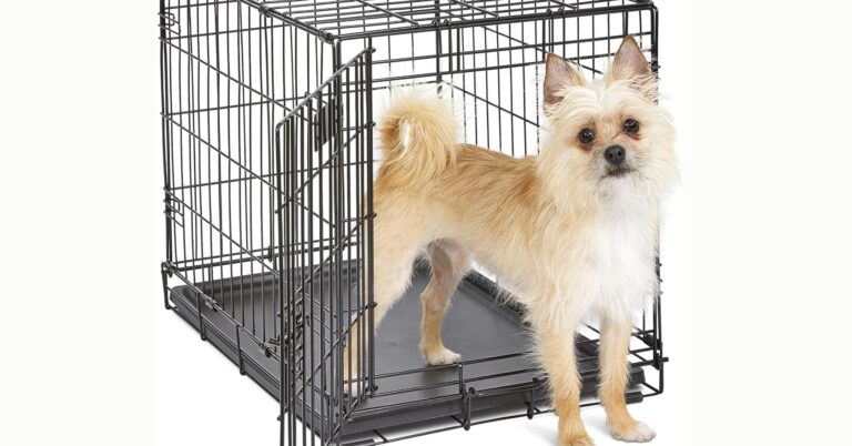 Secure and portable dog crate for pet owners on the go