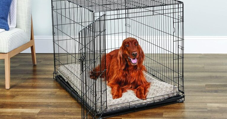 Crate dog – the ultimate dog crate for comfort and safety