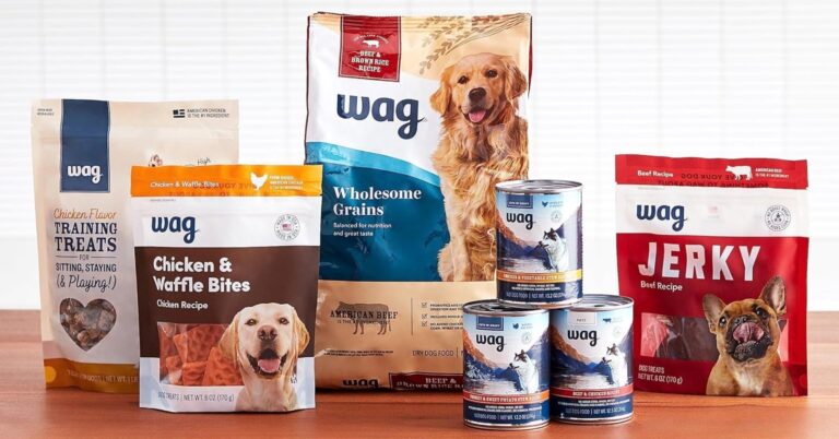 Dog food: switch to wag salmon & lentil recipe for a happy, healthy dog