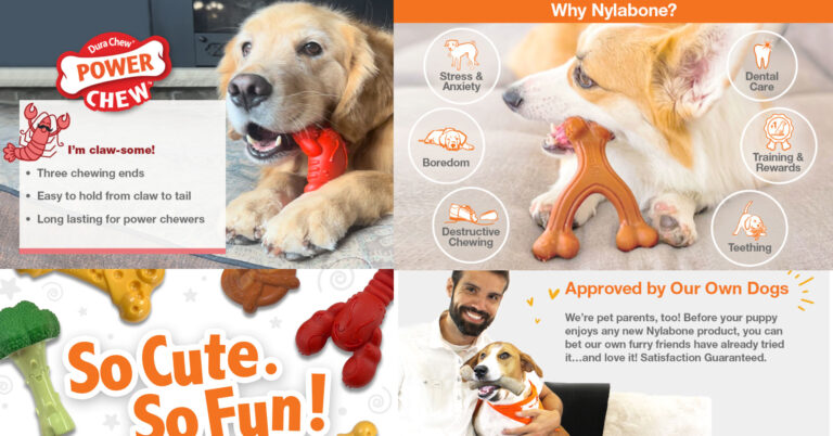 Best dog bones – nylabone lobster toy: a durable and engaging chew toy for aggressive chewers