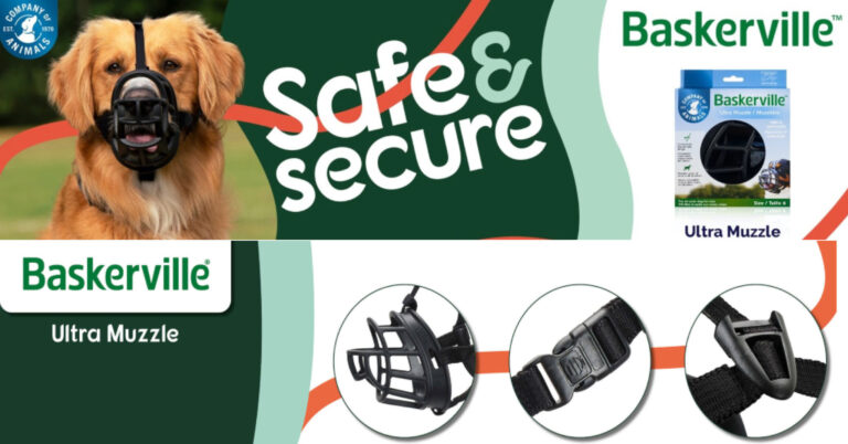 Best dog muzzle – reliable and versatile solution for large dogs