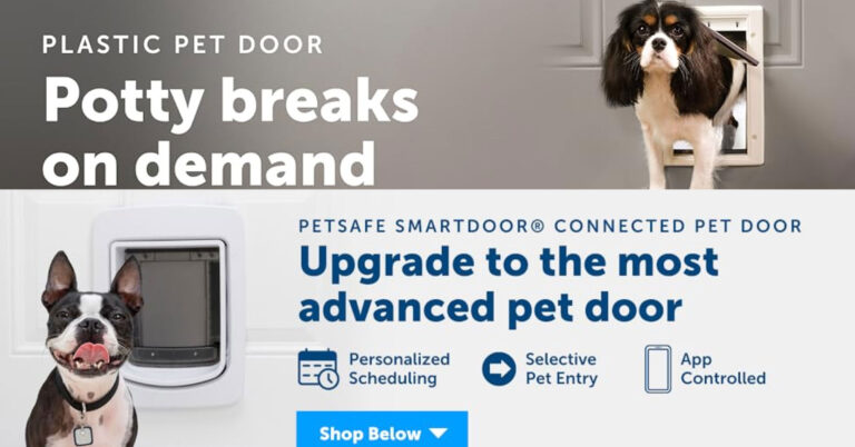 Best dog door: petsafe plastic pet door for independent pets
