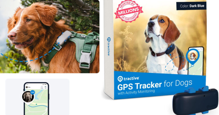 Best electric dog fence: ensure peace of mind with tractive gps tracker