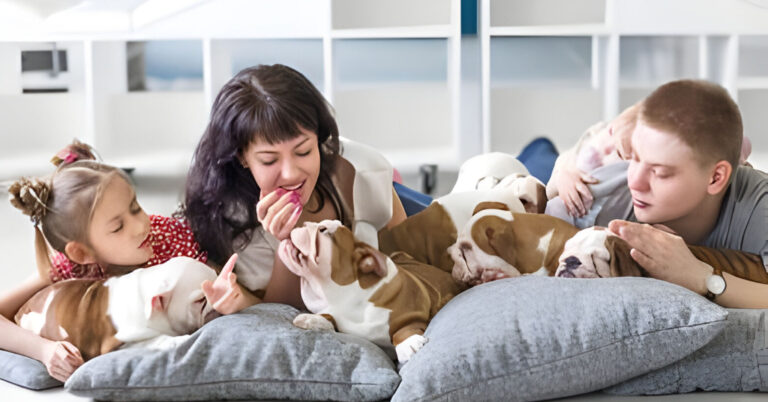 Pet sitting rates: how much would you pay for a trusted pet sitter in 2024?